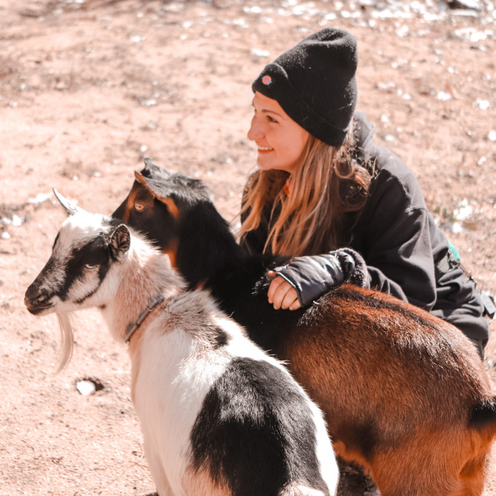 goat lady Laura Vanderkam Ted Talk