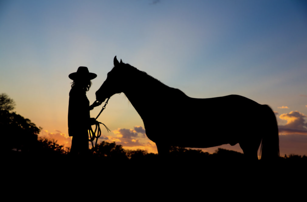 I Love New Mexico Stories: Lyn Carpenter