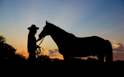 I Love New Mexico Stories: Lyn Carpenter